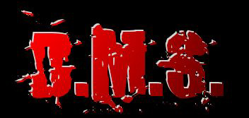 dms logo2